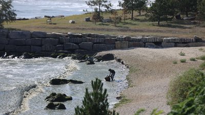 Небезпека у морі. Військовослужбовці ВМС в акваторії Миколаївщини виявляють міни різних типів Небезпека у морі. Військовослужбовці ВМС в акваторії Миколаївщини виявляють міни різних типів