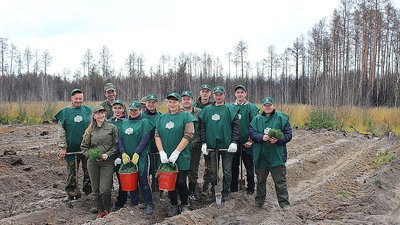 На Житомирщині висадили понад 300 тисяч саджанців в рамках проєкту "Мільйон дерев за 24 години"