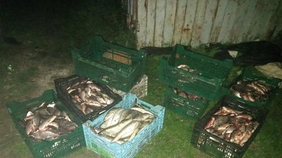 Риболовля на 1,5 мільйона. На Миколаївщині чоловік виловив понад 900 рибин