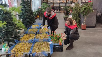 Під час локдауну підприємиця з Тернопільщини може втратити пів мільйона гривень
