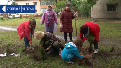 "Дерева ростимуть разом з учнями": 22 туї висадили біля Геронимівської школи "Дерева ростимуть разом з учнями": 22 туї висадили біля Геронимівської школи