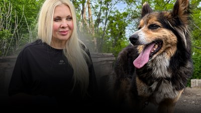 Благодійний фонд “Друг” вивозить собак з Краматорська
