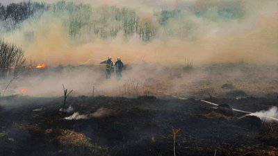 Підпал і необережне поводження з вогнем: за добу 7 разів горіла суха рослинність Підпал і необережне поводження з вогнем: за добу 7 разів горіла суха рослинність