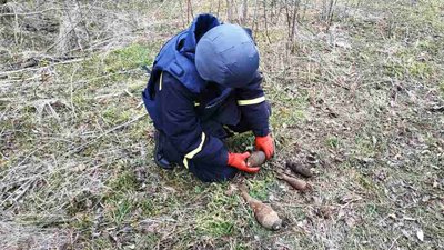 На Херсонщині з початку року знешкодили 54 вибухонебезпечні предмети - ДСНС На Херсонщині з початку року знешкодили 54 вибухонебезпечні предмети - ДСНС