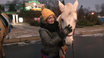 "Потрібно вводити регламентацію": зоозахисники про кінні прогулянки Харковом "Потрібно вводити регламентацію": зоозахисники про кінні прогулянки Харковом