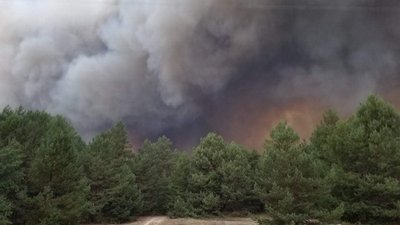 На військовому полігоні на Київщині палає ліс