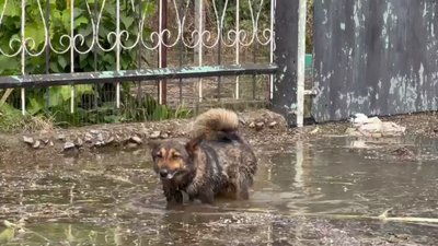 Річниця після підриву Каховської ГЕС. Фотодобірка від Суспільне Миколаїв