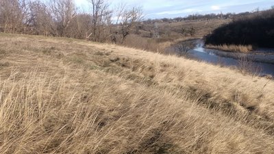 На Черкащині планують створити памʼятку природи На Черкащині планують створити памʼятку природи