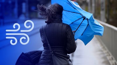 Штормове попередження. На Миколаївщині очікують посилення вітру