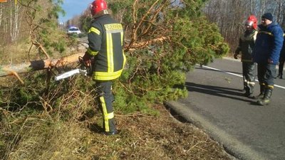 Через сильний вітер на Волині оголосили "помаранчевий" рівень небезпеки