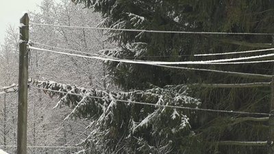 Шари льоду і мокрого снігу покрили електричні дроти. Шари льоду і мокрого снігу покрили електричні дроти.