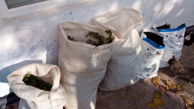 Поліцейські вилучили у жителя Херсонщини 5 кг канабісу