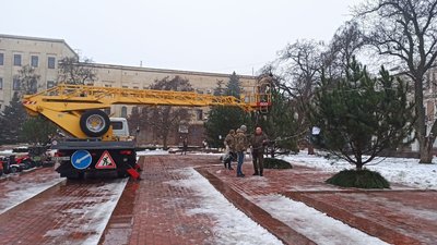 Центральну площу Кропивницького прикрасили гірляндами Центральну площу Кропивницького прикрасили гірляндами
