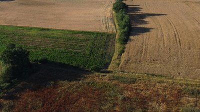 Земельна ділянка Шацька громада, орендар