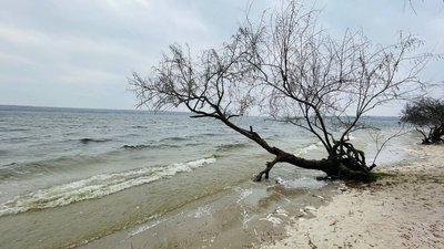 Водохреща під час воєнного стану. У Миколаєві не облаштовують місця для хрещенських купань Водохреща під час воєнного стану. У Миколаєві не облаштовують місця для хрещенських купань