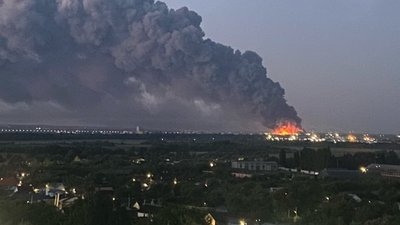 Wildberries