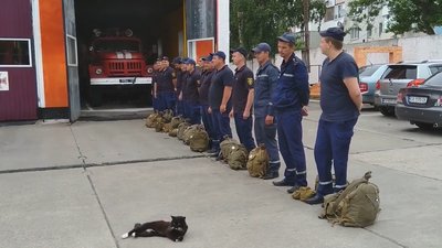 Ходить на наради та підтримує психологічно: на Черкащині в пожежній частині служить кіт-рятувальник Васька Ходить на наради та підтримує психологічно: на Черкащині в пожежній частині служить кіт-рятувальник Васька