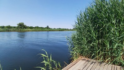 Ситуація здавалася безнадійною: миколаївський фермер врятував своє поле від підтоплення Ситуація здавалася безнадійною: миколаївський фермер врятував своє поле від підтоплення