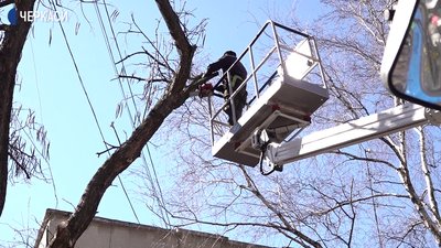 У Черкасах проводять санітарну обрізку дерев У Черкасах проводять санітарну обрізку дерев
