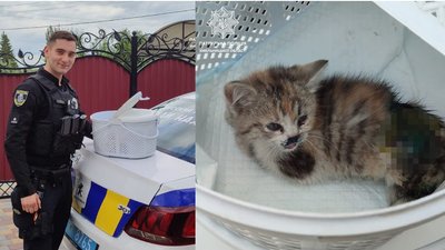 Хмельницькі патрульні врятували кошеня, яке потрапило під колеса автівки