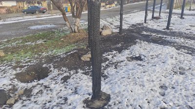 Не надали допомогу через ракетну атаку. Власниці ферми під Дніпром відмовили у компенсації Не надали допомогу через ракетну атаку. Власниці ферми під Дніпром відмовили у компенсації