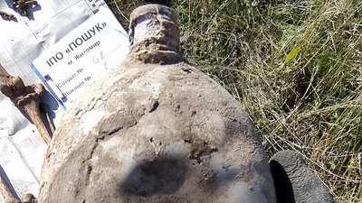 На Житомирщині відшукали останки солдата, який загинув у 1941 році На Житомирщині відшукали останки солдата, який загинув у 1941 році
