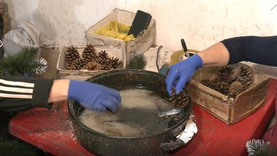 Ялиночки-Мукотиночки
