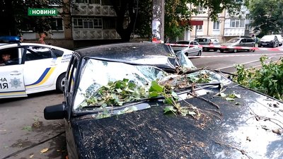 У центральному районі Миколаєва на автівку впало дерево
