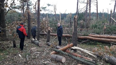 Комісія рахувала збитки, завдані лісопарковій зоні буревієм у Кропивницькому