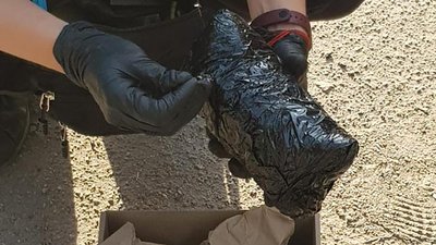 Мешканець Запоріжжя замовив поштою елітну коноплю, його викрила поліція Мешканець Запоріжжя замовив поштою елітну коноплю, його викрила поліція