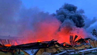 На Тернопільщині горів свинокомплекс