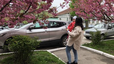 У Полтаві починають квітувати сакури