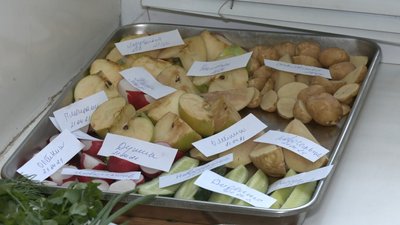 Як в Запоріжжі перевіряють рівень нітратів у продуктах Як в Запоріжжі перевіряють рівень нітратів у продуктах