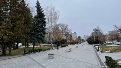 Житомир, погода, природа, грудень 2024 року