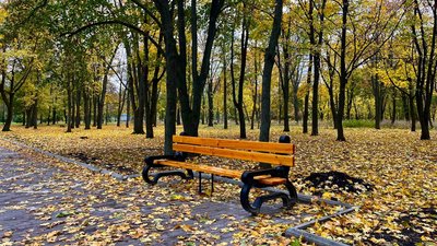 Погода у Кіровоградській області з 27 по 31 жовтня 