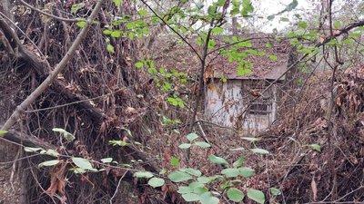 «Село вимирає». Як живуть на Сумщині у селі, яке зникає