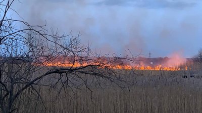 Трава та очерет: на Рівненщині погасили першу пожежу сухостою – ДСНС Трава та очерет: на Рівненщині погасили першу пожежу сухостою – ДСНС
