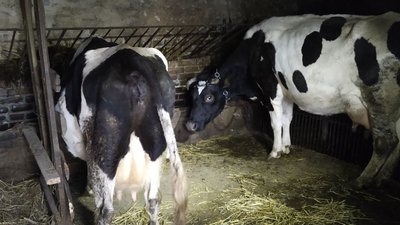 Фінансова підтримка волинських фермерів під час війни Фінансова підтримка волинських фермерів під час війни