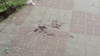 Поранення