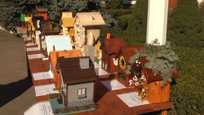 У Житомирі визначили переможців дитячого обласного конкурсу на кращу шпаківню