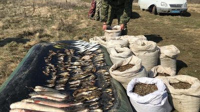На понад півмільйона грн наловили браконьєри риби в Азовському морі на Херсонщині