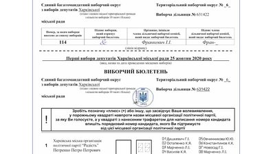 Нові бюлетені та власна ручка: що нового буде на виборах