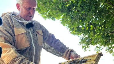 На Черкащині завершують збір меду
