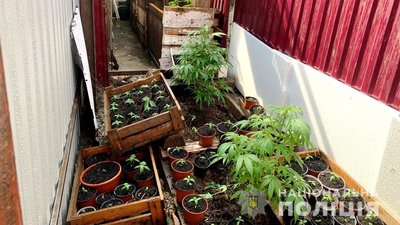 Фото Нацполіції Закарпаття Фото Нацполіції Закарпаття