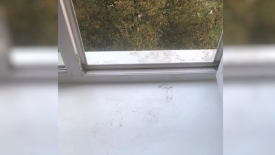 Загибель військової з Одеської бригади: поліція розслідує самогубство, друзі та рідні не вірять