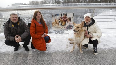 У Києві відкрили виставку, яку присвятили волонтерам У Києві відкрили виставку, яку присвятили волонтерам