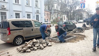 Під час акції з озеленення Тернополя висадили 42 дерева Під час акції з озеленення Тернополя висадили 42 дерева