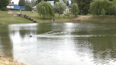У рівненському "Хіміку" чистили ставок. Як це відбувалося