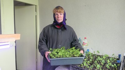 На Сумщині пропонують нести на кладовища в поминальні дні живі квіти замість штучних На Сумщині пропонують нести на кладовища в поминальні дні живі квіти замість штучних