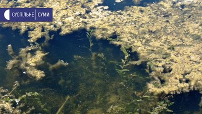 Водолази досліджують місця для купання у водоймах Сум Водолази досліджують місця для купання у водоймах Сум